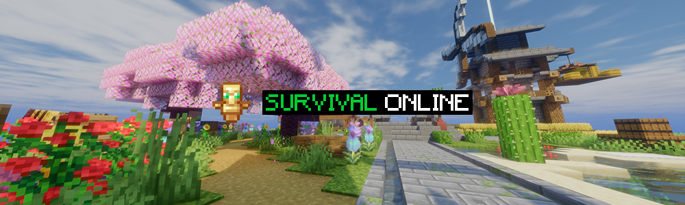 Server Image